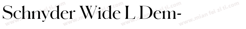Schnyder Wide L Dem字体转换